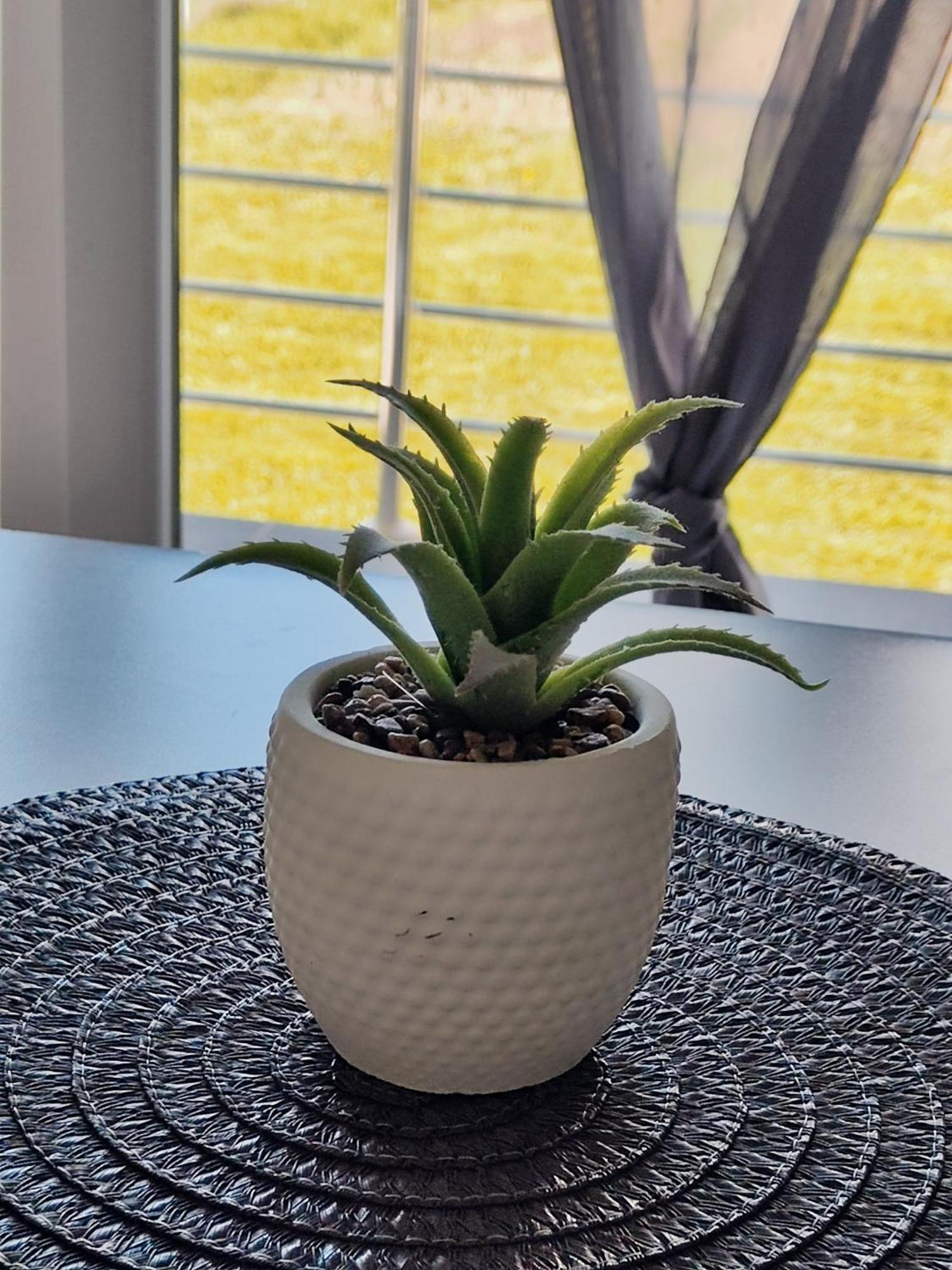 Apartman Marija Perusic Екстериор снимка